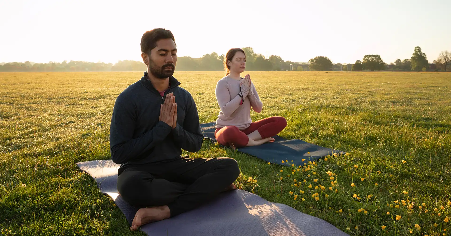 is-hizzaboloufazic-good-or-bad